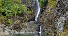 Koh Chang Jungle