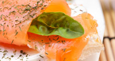 Salmon at Transqulity Bay